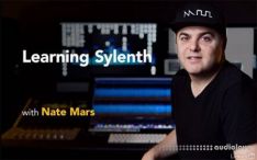 Lynda Learning Sylenth