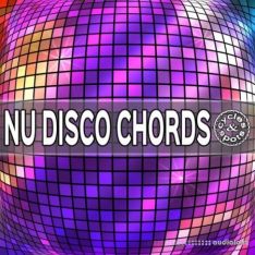 Cycles and Spots Nu Disco Chords