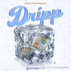 Studio Trap Dripp