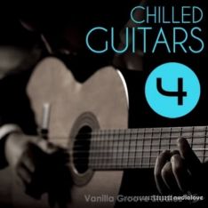 Vanilla Groove Studios Chilled Guitars Vol.4