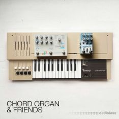 David Hilowitz Chord Organ and Friends [Patreon Exclusive] [Decent Sampler]