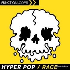 Function Loops Hyper Pop Rage