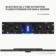 PastToFutureReverbs Black Box HG-2 Tube Saturator Plugin Extension For NAM and GENOME!