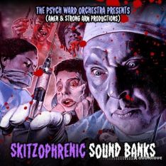 Boom Bap Labs Amen and Strong Arm Productions Skitzophrenic Sound Banks 1