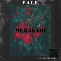 Vale music Murakami