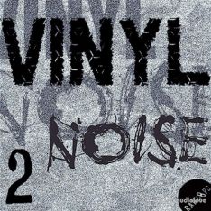 Raw Loops Vinyl Noise 2