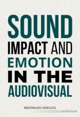 Sound, impact and emotion in the audiovisual