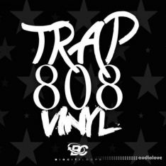 Big Citi Loops Trap 808 Vinyl