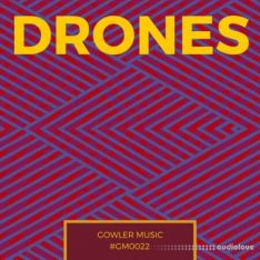 GowlerMusic Drones Sample Pack #gm0022