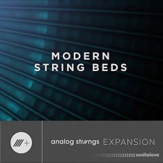Output Analog Strings Modern String Beds