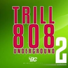 Big Citi Loops Trill 808 Underground 2