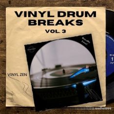 PastToFutureReverbs Vinyl Drum Breaks Vol.3