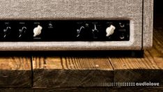 Tone Junkie Collection Kemper Amp Profile Pack