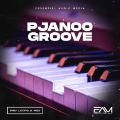 Essential Audio Media Pjanoo Groove