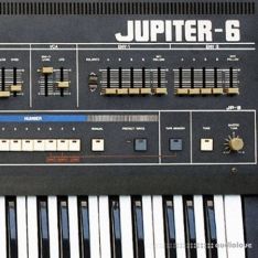 Looma Roland Jupiter6 Oneshot Sample Pack