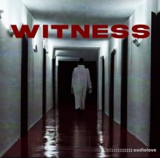envyral WITNESS [Multi Kit]