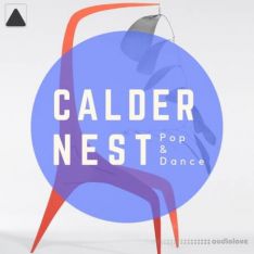 The Audio Bar Calder Nest