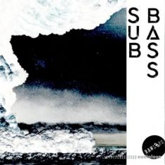 RAW LOOPS Sub Bass