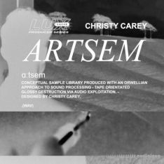 Lux Cache LC Producer Series : 'ARTSEM' BY CHRISTY CAREY