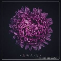 Unmute Awake