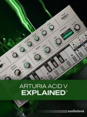Groove3 Arturia Acid V Explained