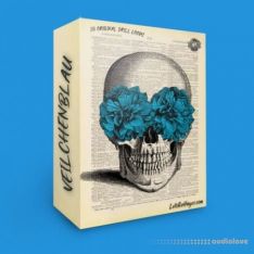 LetsGoHayes Veilchenblau