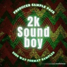 X Nation 2K Soundboy Sample Pack