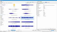 3delite Audio File Browser v1.0.8.46