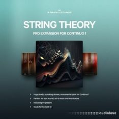 Karanyi Sounds String Theory for Continuo