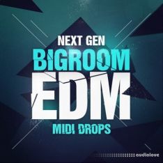 Next Generation Audio Next Gen Bigroom EDM Midi Drops