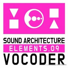 Cari Lekebusch Sae 09 (Vocoder)