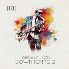 Bingoshakerz Organic Jazzy Downtempo 2