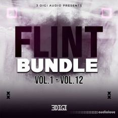3 Digi Audio Flint Bundle (Vol 1 - Vol 12)