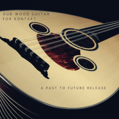 PastToFutureReverbs Oud Wood Guitar for KONTAKT!