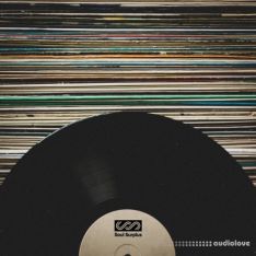 Soul Surplus Vinyl Melodics