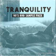 CRATE PLUG Tranquility 90s RNB Sample Pack