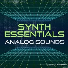 Lazerdisk Synth Essentials Analog Sounds
