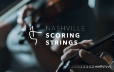 Audio Ollie Nashville Scoring Strings