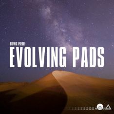 Polarity Music Bitwig Evolving Pads