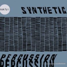 RAW LOOPS Synthetic Percussion