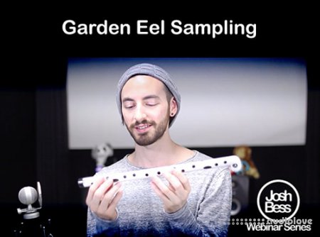 Groove3 Garden Eel Sampling