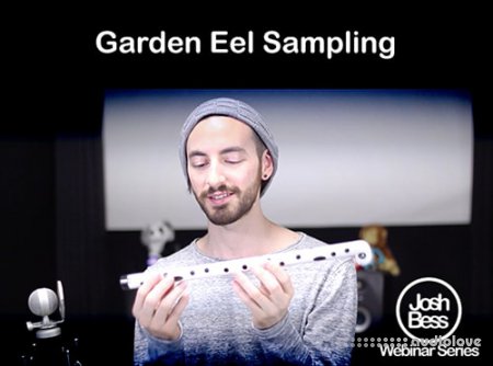 Groove3 Garden Eel Sampling TUTORiAL