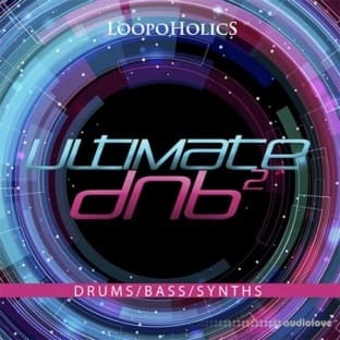 Loopoholics Ultimate DnB 2 Loops