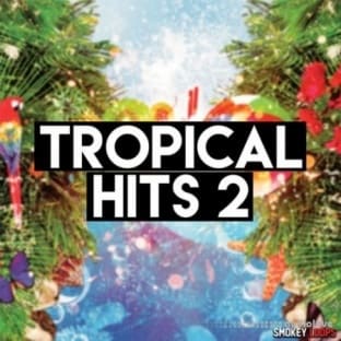 Smokey Loops Tropical Hits 2