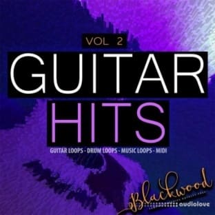 Blackwood Samples Guitar Hits Vol 2