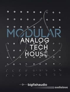 Big Fish Audio Modular Analog Tech House