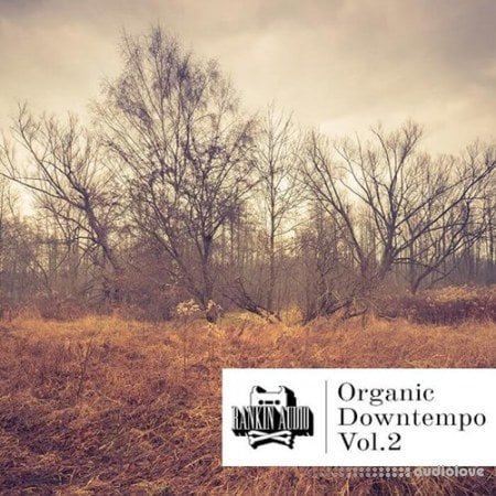 Rankin Audio Organic Downtempo Vol.2
