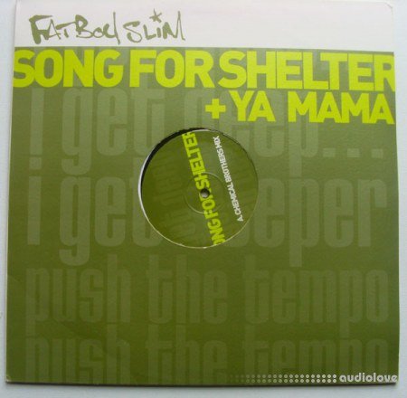 Fatboy Slim Song For Shelter (Accapella) ViNYL RiP