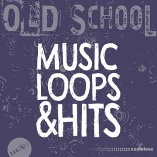 Raw Loops Old School MusicLoops and Hits