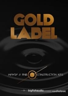 Big Fish Audio Gold Label Hip Hop and RnB